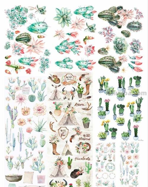 200个植物手帐小插画，临摹学习的好素材