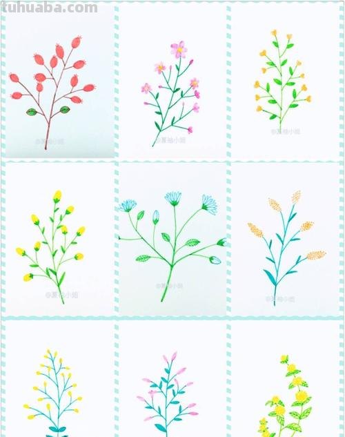 200个植物手帐小插画，临摹学习的好素材