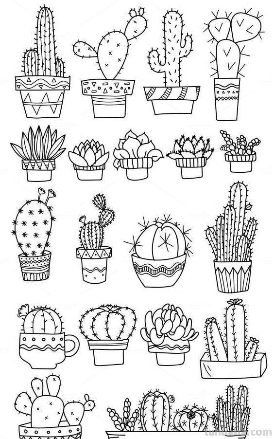 200个植物手帐小插画，临摹学习的好素材