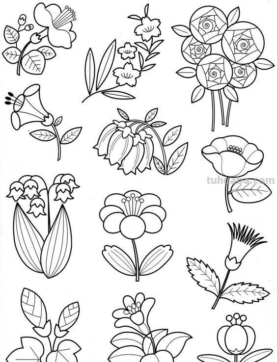 200个植物手帐小插画，临摹学习的好素材