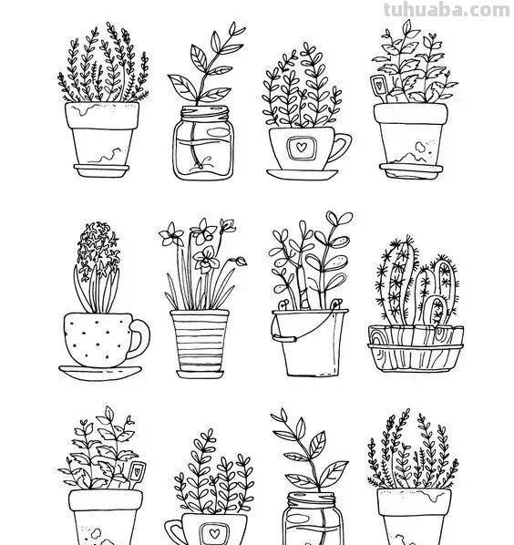 200个植物手帐小插画，临摹学习的好素材