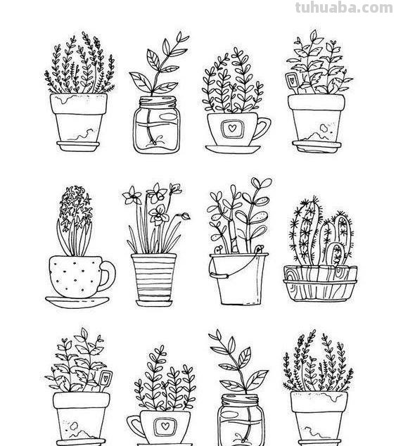 200个植物手帐小插画，临摹学习的好素材