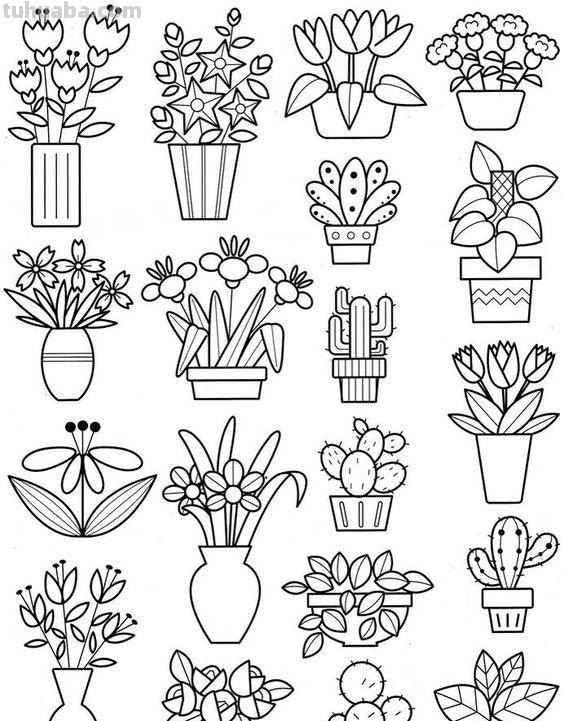 200个植物手帐小插画，临摹学习的好素材