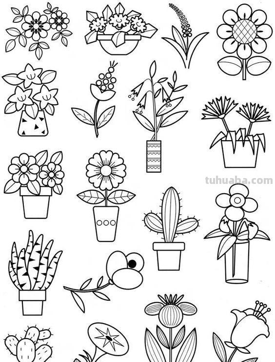 200个植物手帐小插画，临摹学习的好素材