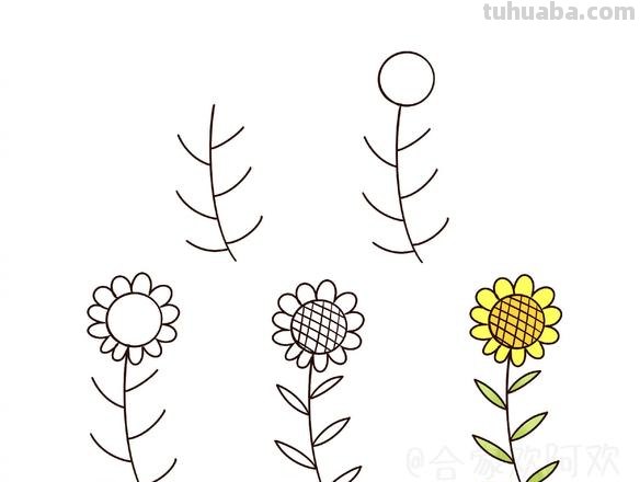 零基础简笔画：分步骤讲解3种小植物画法，简单易学，快收藏起来