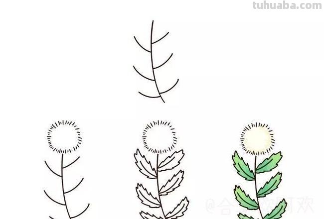 零基础简笔画：分步骤讲解3种小植物画法，简单易学，快收藏起来