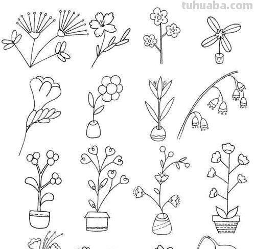 每天学一幅简笔画-19种植物简笔画小教程