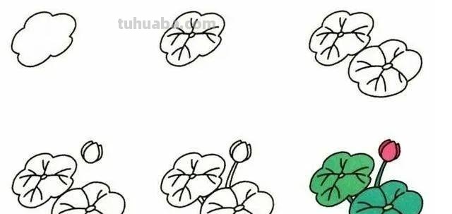 每天学一幅简笔画-19种植物简笔画小教程