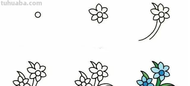 每天学一幅简笔画-19种植物简笔画小教程