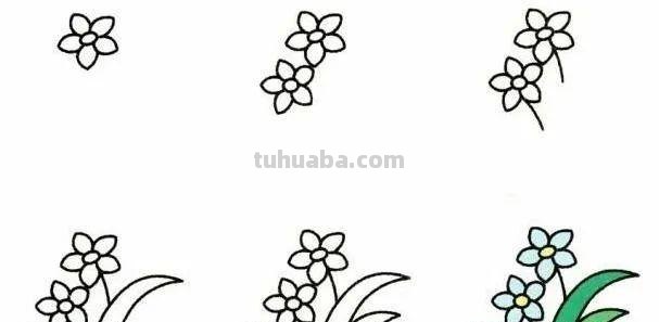 每天学一幅简笔画-19种植物简笔画小教程