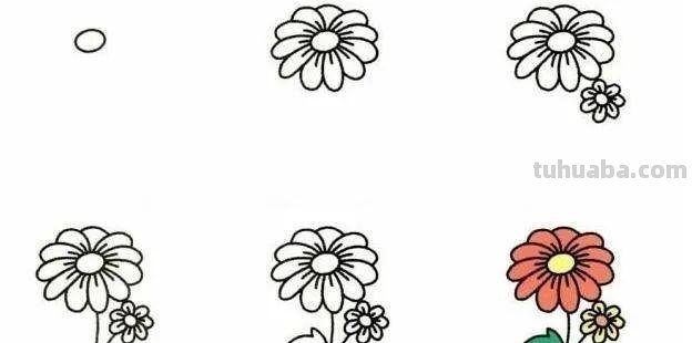 每天学一幅简笔画-19种植物简笔画小教程