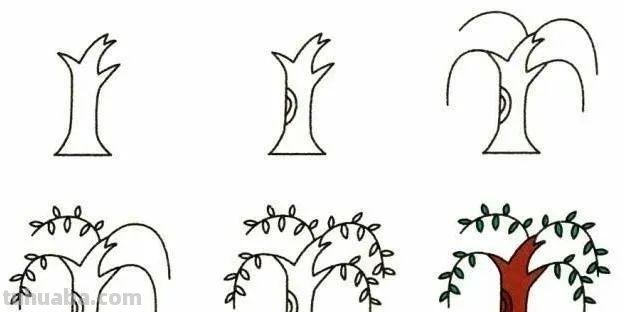每天学一幅简笔画-19种植物简笔画小教程