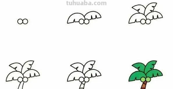 每天学一幅简笔画-19种植物简笔画小教程