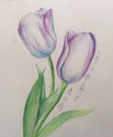 总裁用什么彩铅画 画彩铅画最好用什么牌子的彩铅，懂得来？