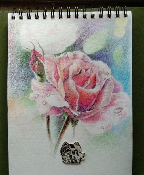 总裁用什么彩铅画 画彩铅画最好用什么牌子的彩铅,懂得来?