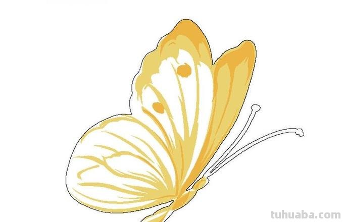 黄色的蝴蝶简笔画 黄色的蝴蝶简笔画图片