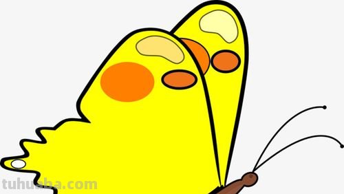 黄色的蝴蝶简笔画 黄色的蝴蝶简笔画图片