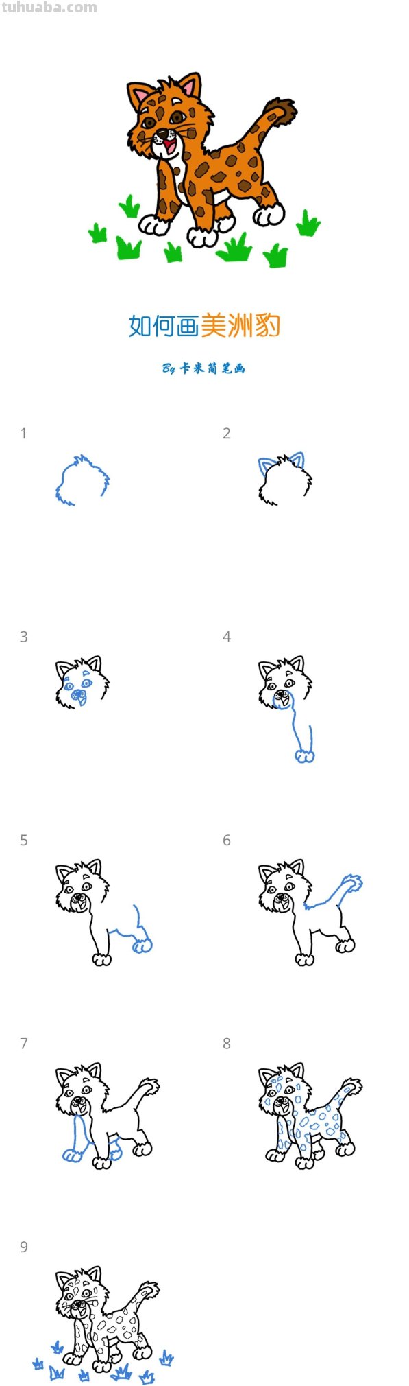 小美洲豹怎么画 - 卡通美洲豹简笔画教程