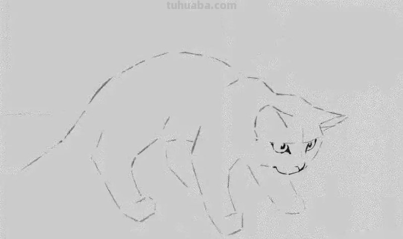 国画技法 - 写意《猫趣》步骤讲解示范