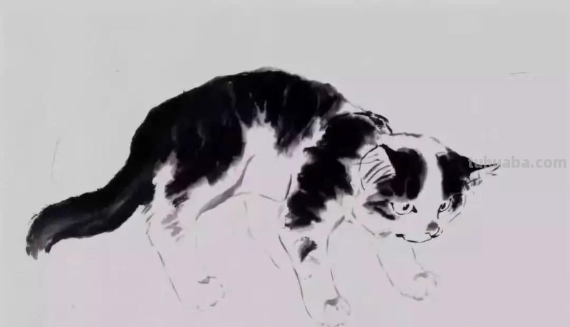 国画技法 - 写意《猫趣》步骤讲解示范