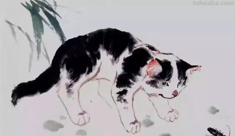 国画技法 - 写意《猫趣》步骤讲解示范