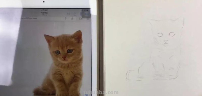 速写画一只可爱的小猫咪 教你画速写小动物 轻松上手