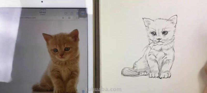 速写画一只可爱的小猫咪 教你画速写小动物 轻松上手