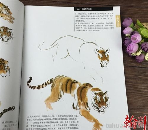 图文教程:写意虎技法