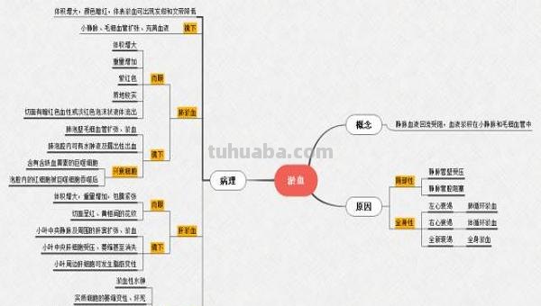 怎么免费的思维导图 教你如何选择出最好用的免费思维导图软件？