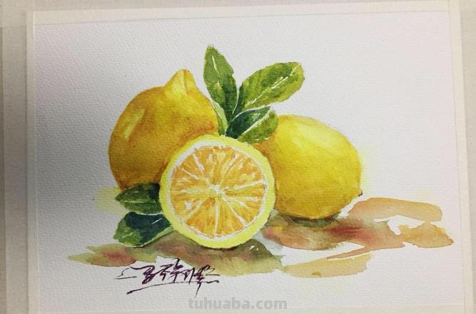 色彩柠檬的画法步骤