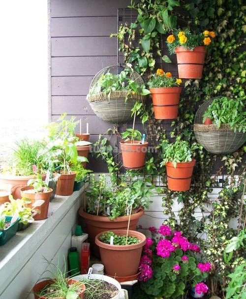 【色彩阳台，让你的生活充满活力】——涂画吧小编了解到，色彩阳台一角的设计可以让你的生活更加丰富多彩。 