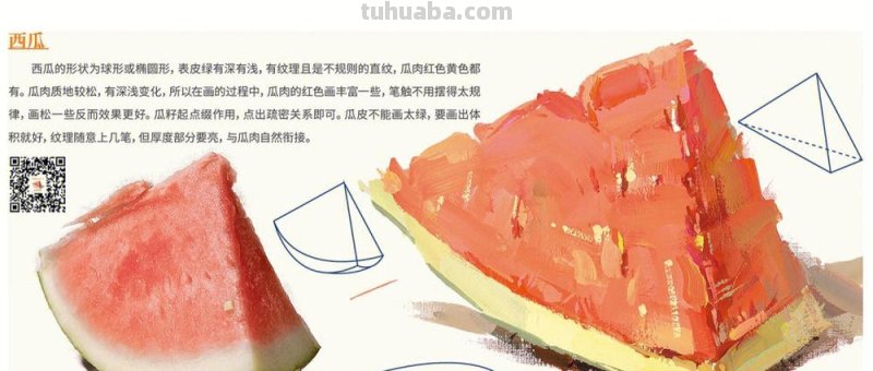 瓜色彩静物与色彩静物西瓜的美学 