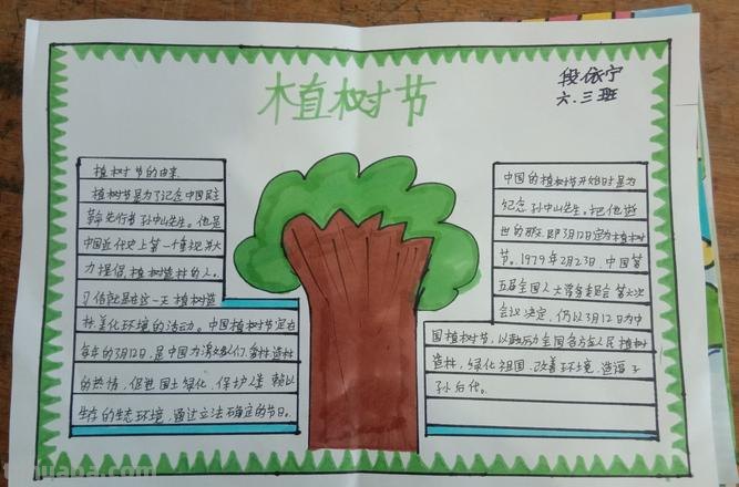 植树节的手抄报怎么画眉毛 儿童画眉毛的技巧和方法？