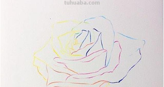 怎么画玫瑰用彩铅 彩铅画玫瑰花教程？