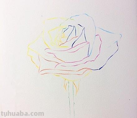 怎么画玫瑰用彩铅 彩铅画玫瑰花教程？