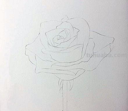怎么画玫瑰用彩铅 彩铅画玫瑰花教程？
