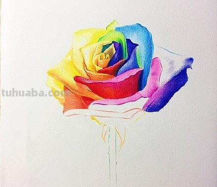 怎么画玫瑰用彩铅 彩铅画玫瑰花教程？