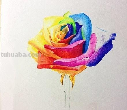 怎么画玫瑰用彩铅 彩铅画玫瑰花教程？