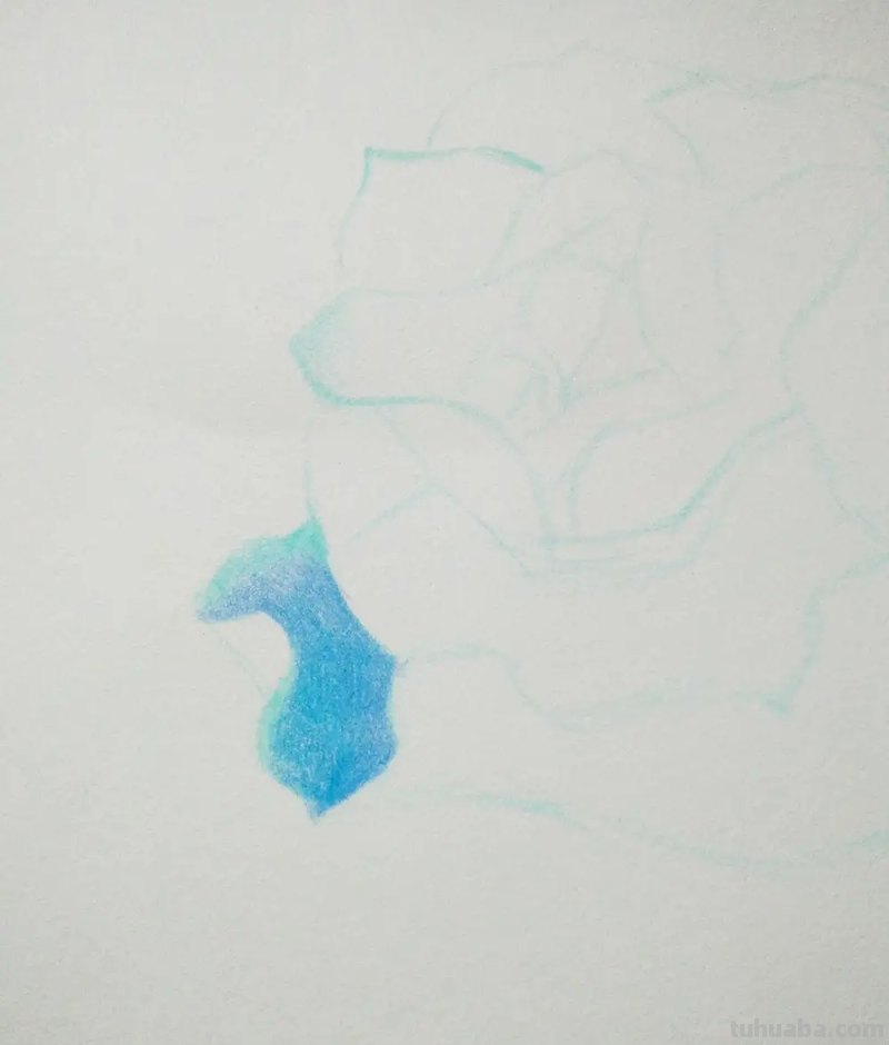 怎么画玫瑰用彩铅 彩铅画玫瑰花教程？