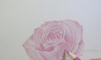 怎么画玫瑰用彩铅 彩铅画玫瑰花教程？