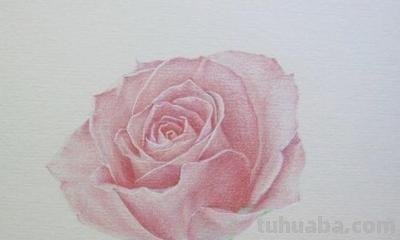 怎么画玫瑰用彩铅 彩铅画玫瑰花教程？
