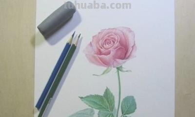 怎么画玫瑰用彩铅 彩铅画玫瑰花教程？