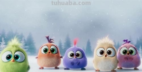 壁纸色彩及壁纸色彩鲜艳——让你的家更有生气！ 