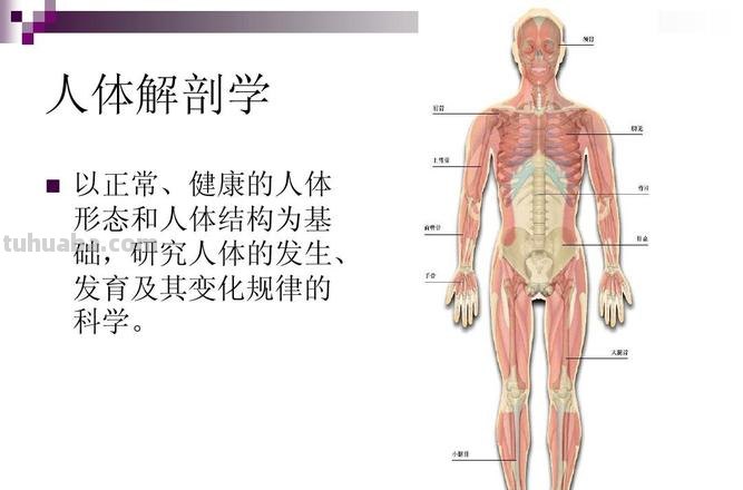 人体的色彩科学及人体的色彩科学阅读答案 