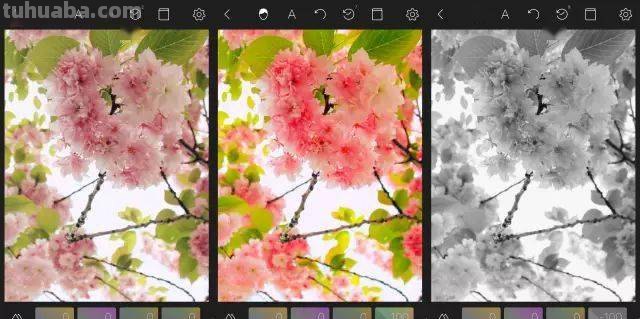 Oppo手机怎么调色彩及饱和度？教你轻松变身色彩大师！ 