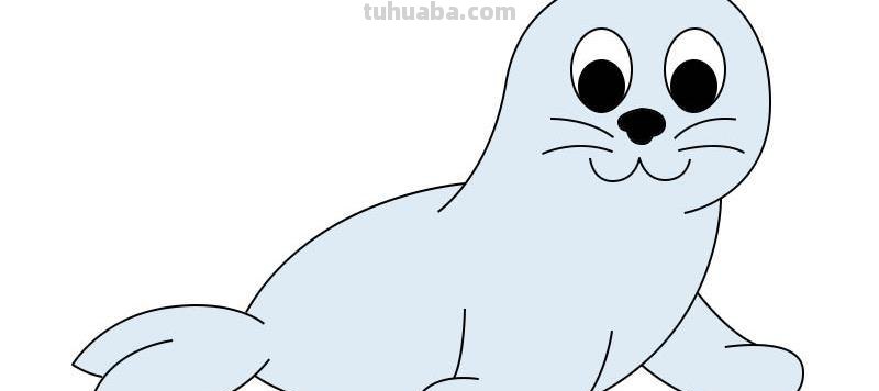 海豹简笔画 海豹简笔画图片