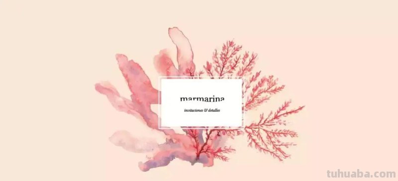 高逼格水彩插画在产品包装上的应用，每一款都很经典