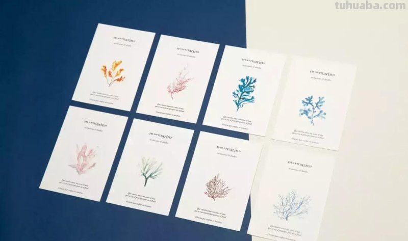 高逼格水彩插画在产品包装上的应用，每一款都很经典