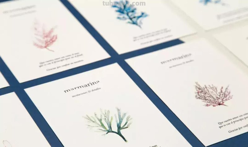 高逼格水彩插画在产品包装上的应用，每一款都很经典