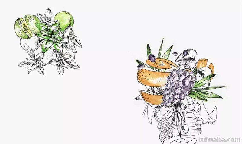 高逼格水彩插画在产品包装上的应用，每一款都很经典